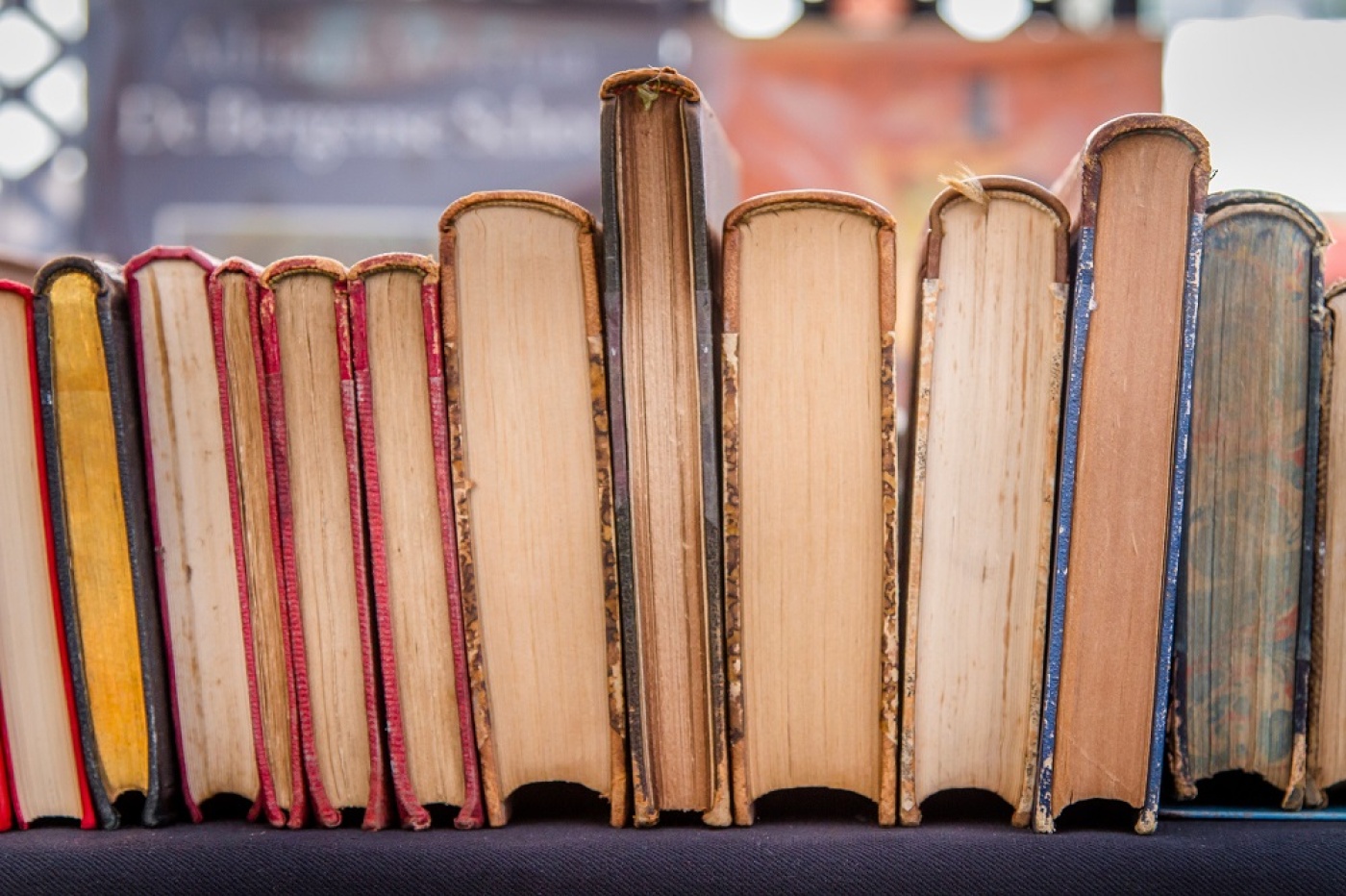 second-hand-books-in-a-row-on-a-market-stall-old-2024-12-06-20-59-15-utc_SMALL.jpg